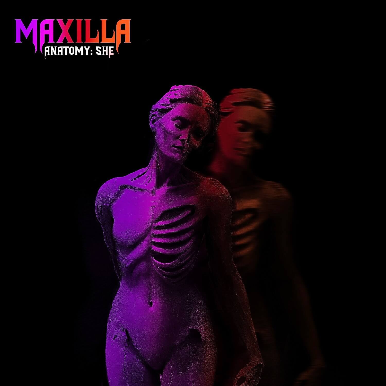 anatomy she (1)
