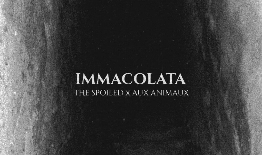 Immacolata: The Spoiled and Aux Animaux Join Forces in a Dark Anthem
