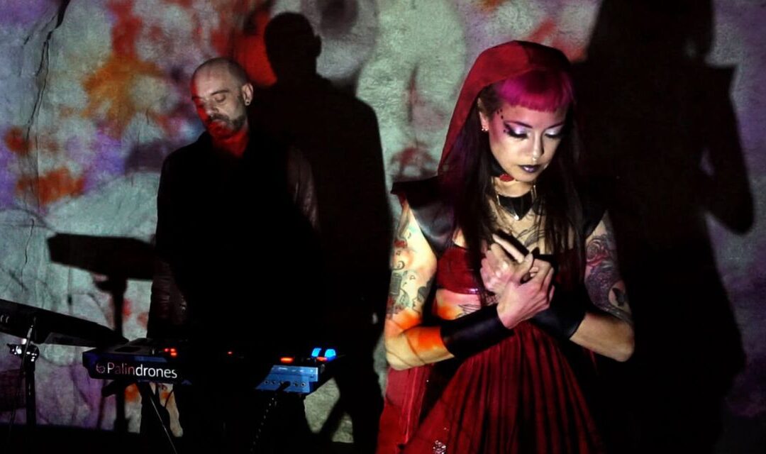 Video Interview: Interview with Karen and Jamie from Palindrones